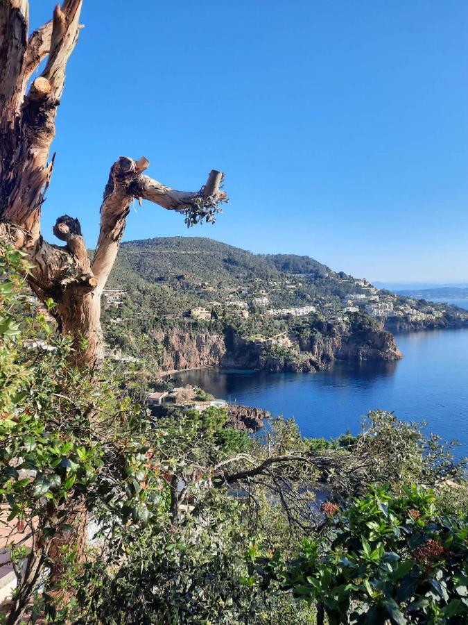 Magic Mer Saint-Raphaël Dış mekan fotoğraf