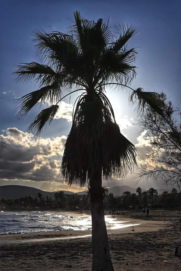 Magic Mer Saint-Raphaël Dış mekan fotoğraf