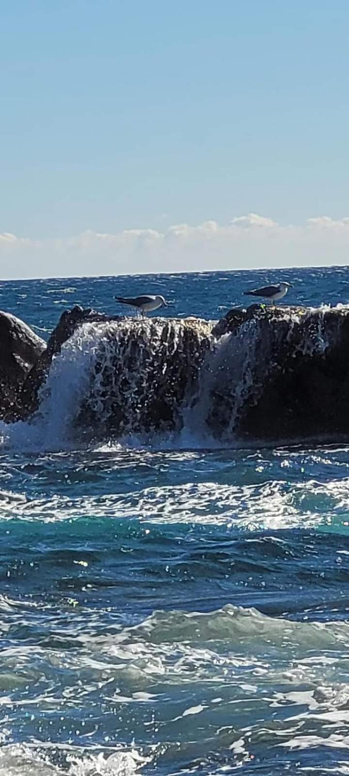Magic Mer Saint-Raphaël Dış mekan fotoğraf